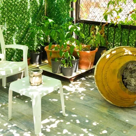 Balim Sultany Couette-café Çeşme